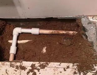 越秀测漏水哪家好