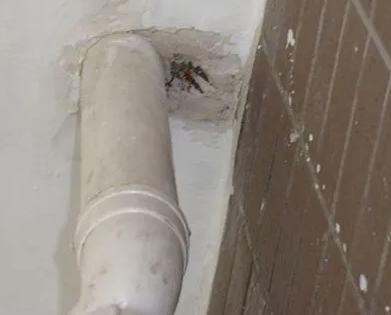 越秀漏水检测哪家好